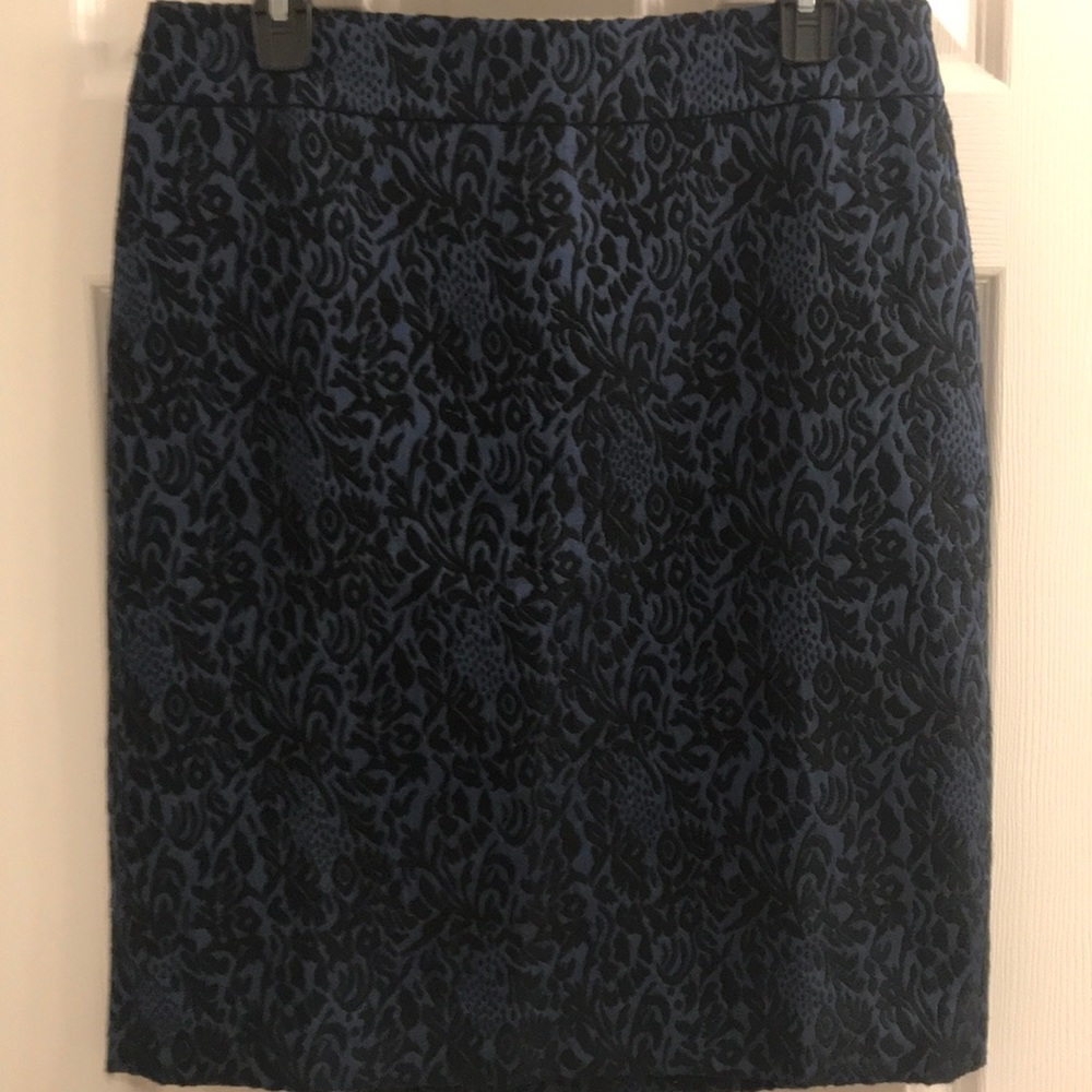 Ann Taylor Skirt